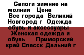 Сапоги зимние на молнии › Цена ­ 5 900 - Все города, Великий Новгород г. Одежда, обувь и аксессуары » Женская одежда и обувь   . Приморский край,Спасск-Дальний г.